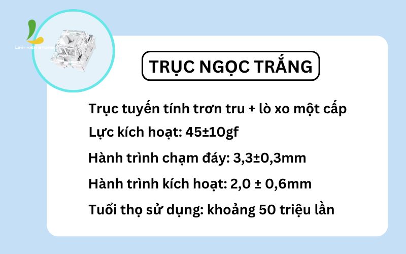 Truc-ngoc-White-Switch-do-dan-hoi-sieu-nhay-Ban-phim-co-Xinmang-M87