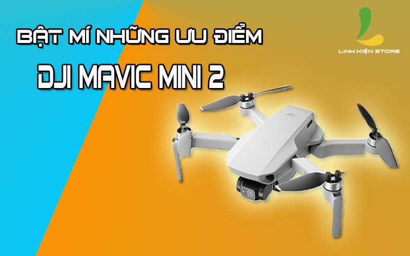 flycam-dji-mavic-mini-2_1