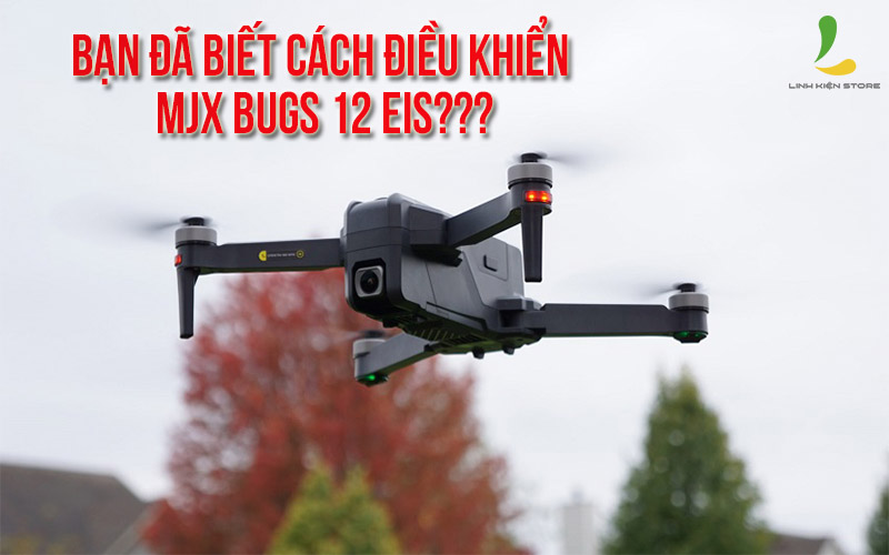 flycam-mjx-bugs-12-eis